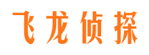 平舆婚外情调查